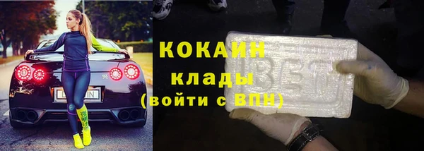 сатива Богданович