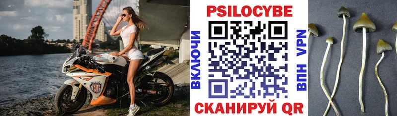Купить закладки  Майский  Галлюциногенные грибы мухоморы 